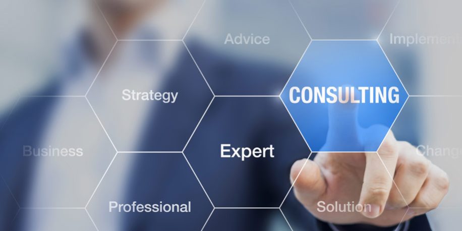 Consulting Services